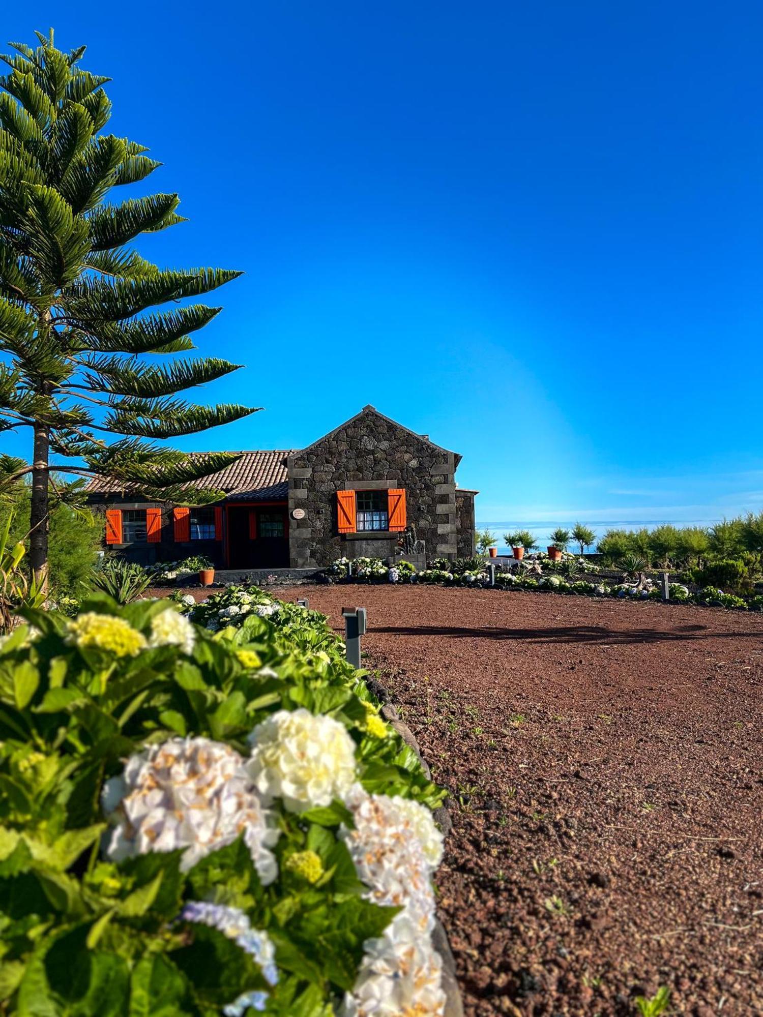 Вилла Casa Baleia Laranja Ocean-Front Мадалена Экстерьер фото
